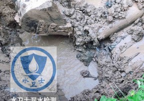 胶州市水管漏水检测公司5